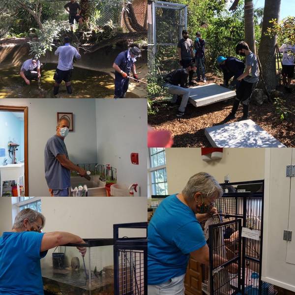 Sawgrass Nature Center And Wildlife Hospital Receives Grant Award From