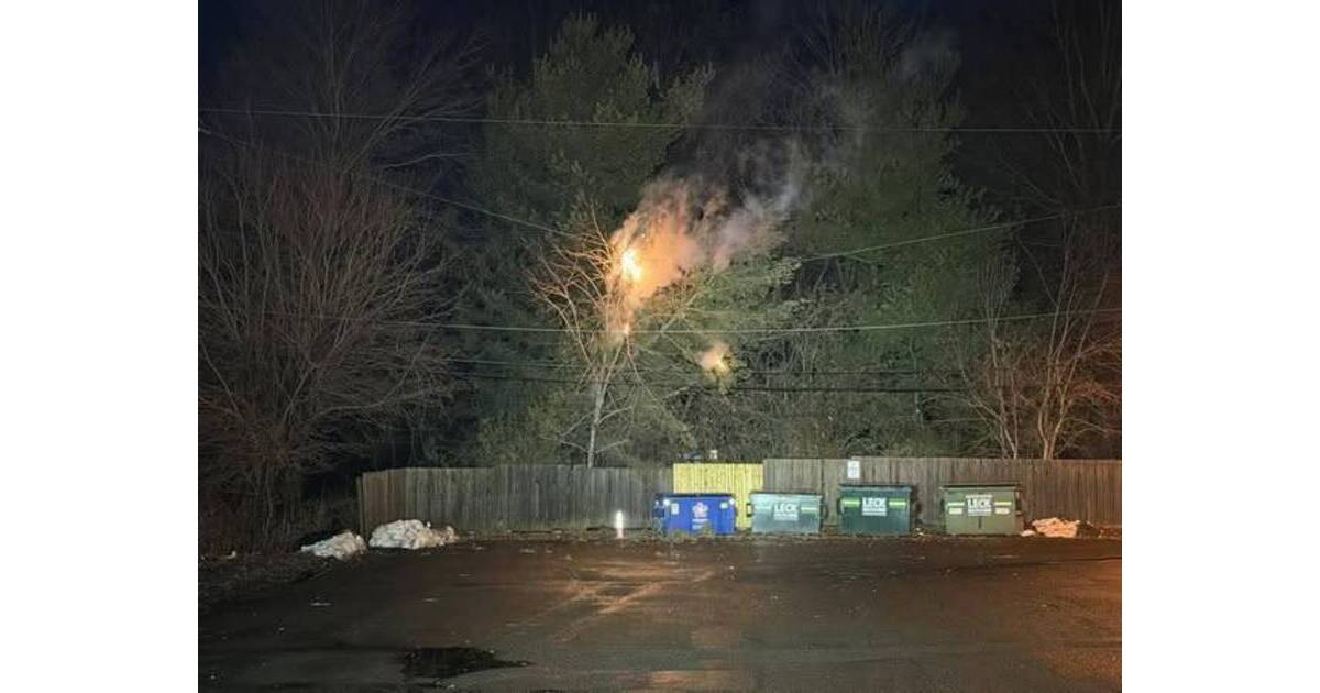 Windstorm in Doylestown Area Leaves Trail of Downed Trees, Power ...