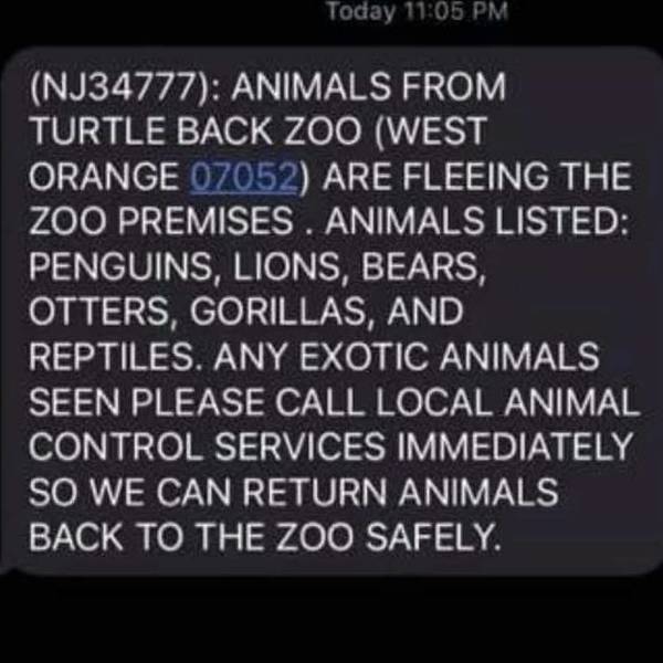 Escaped Turtle Back Zoo Creatures Hogwash Say Officials Soma Nj News Tapinto