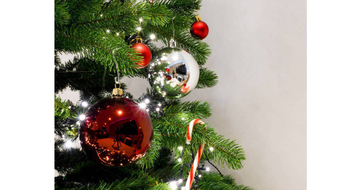 Get Your Christmas Tree Locally; Tree Sales in Morris Township and Morris Plains Morristown