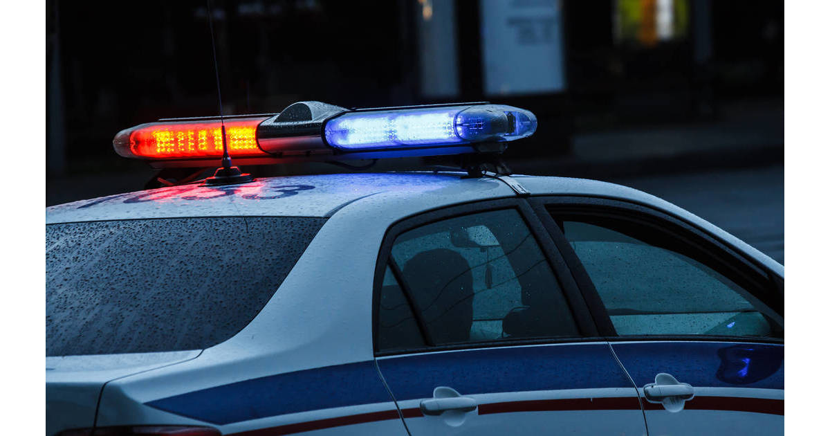 Update Mountainside Carjacking Suspect Still on the Loose, Police Say