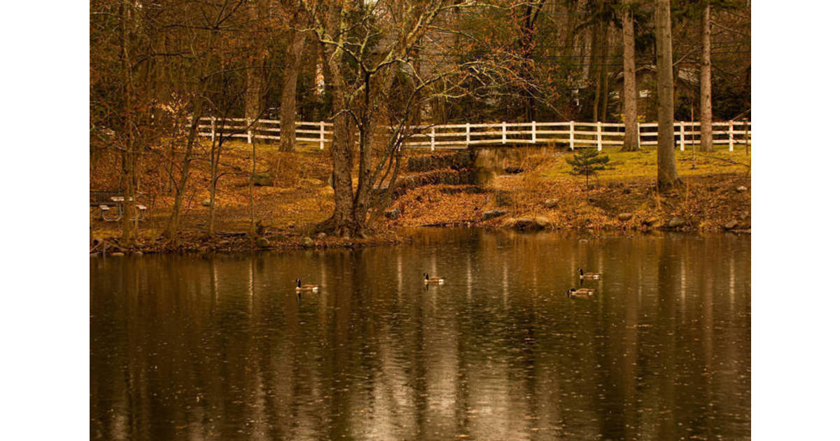 Ridgewood Parks and Recreation to Host "Storywalk® " Event Ridgewood