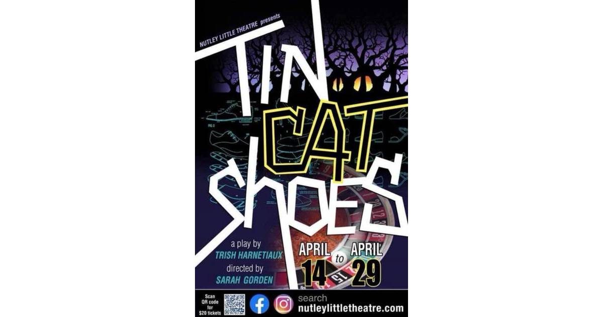 Tickets On Sale Now for Nutley Little Theatre Production of Tin Cat