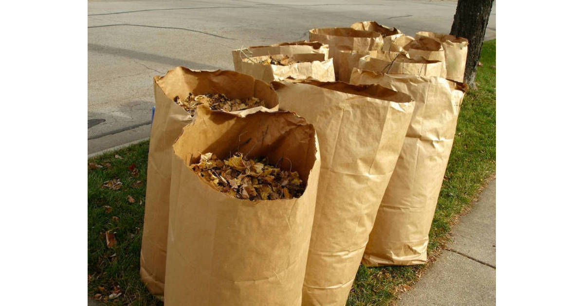 Yard Waste Pickup Continues in Madison Through December 4 Madison, NJ