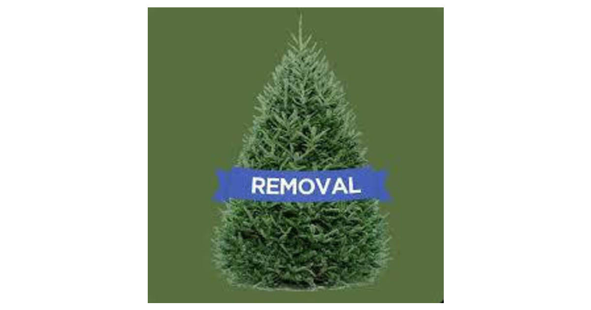 Christmas Tree Pickup in Morris Township, Morristown Continues Through