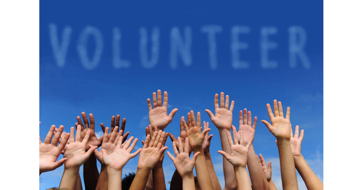 POSTPONED Find your Volunteer Niche at the MLK Day of Service Volunteer Fair at the Westfield Library