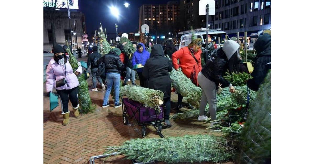 Scenes from Newark’s Free Christmas Tree Giveaway Passaic Valley, NJ