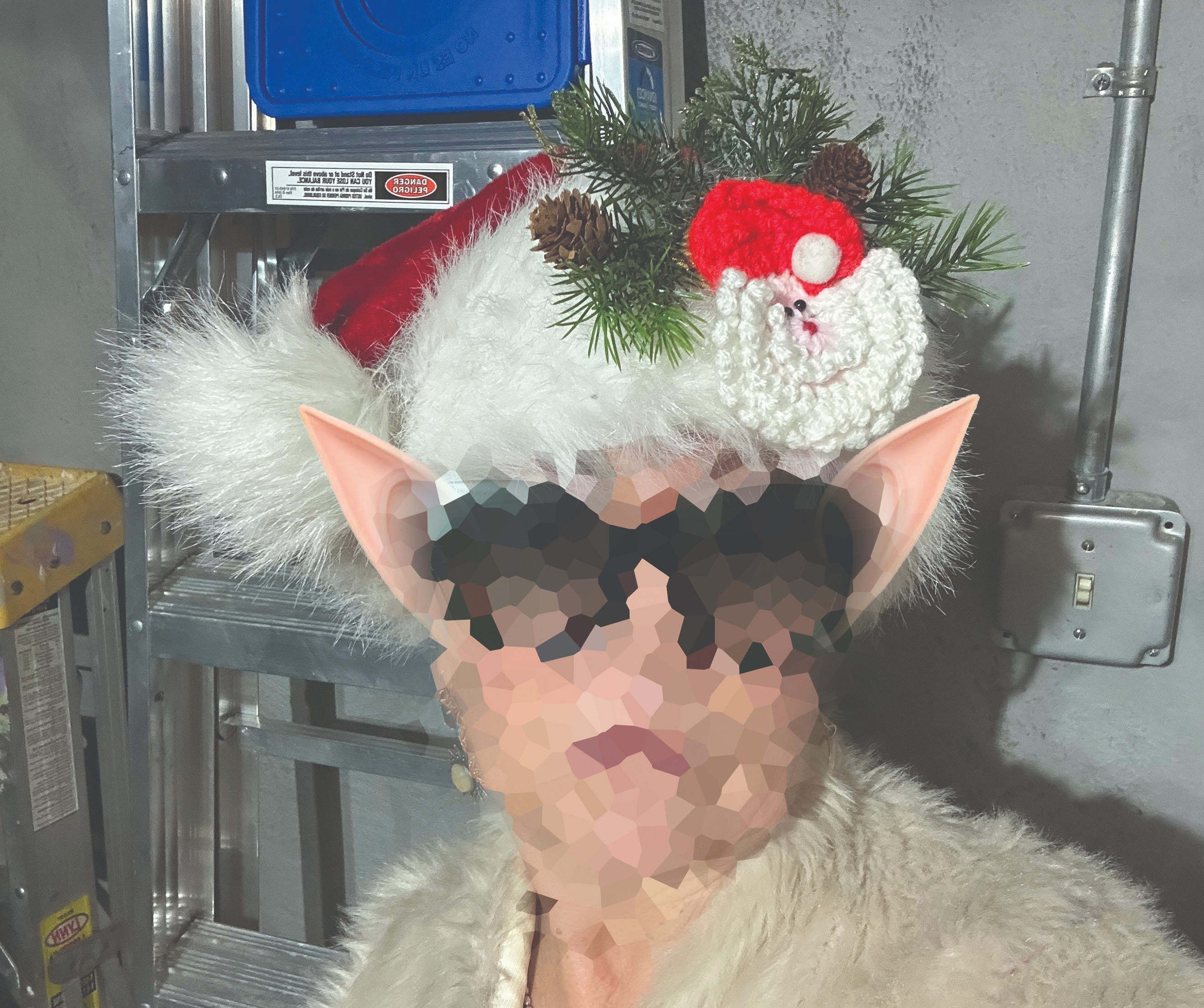 Elf X photographed at an undisclosed location