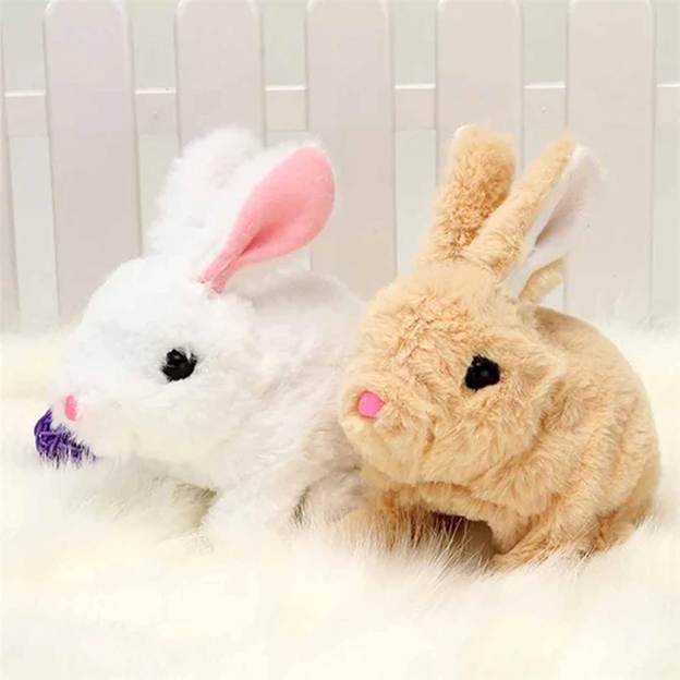 Petsboro Bunny Pal Reviews [CONSUMER REPORTS]: Must Read Before Buying  Petsboro Bunnypal! | Phillipsburg, NJ News TAPinto | TAPinto