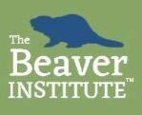 Carousel image ccc772c4d7f1a8ce482e 02 26comm beaver institute logo