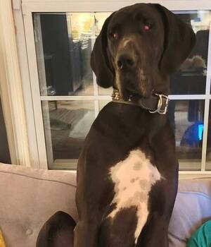 Carousel image clone 1713254 2082be6b55a577ede46a 020c878adc3647eb94f0916bb8600cef