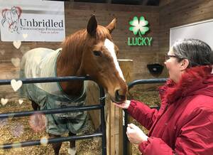 Carousel image 54d2c8ca89bb93434388 0305 rnh a5 column photo   horses of unbridled   lucky 1