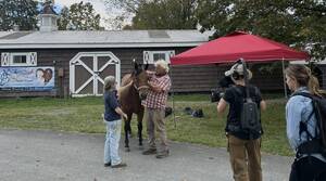 Carousel image 76a0946f6c0b9283dfc1 0402 rnh a5 column photo   horses of unbridled   dark horse 3