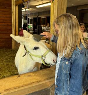 Carousel image 79d21c0dee23c48a6c2b 0409 rnh a5 column photo   horses of unbridled 3