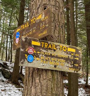 Carousel image clone 1726109 78bd06111a696c3c6d3d 0409rnha7columnphotowildreveriewith1pic