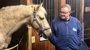 Carousel image clone 1735617 f94a80bec298345c9ef4 0430rnha5columnphotohorsesofunbridledvolunteers6