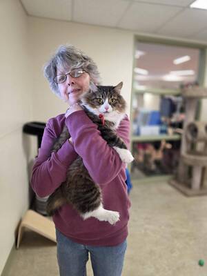 Carousel image 61f61753910513252b11 05 26col soft paws