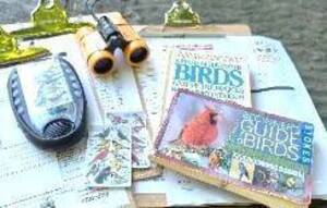 Carousel image bf5c6d06131655fd5b32 05 26comm backyard bird