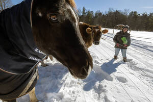 Carousel image e3c366cde032f528b349 06 26news rescued horses photo 1 