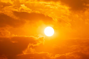 Carousel image 7ebfb59d16467fe12dee 07122024 hot sun shutterstock