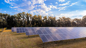 Carousel image 5b93a75b8ac223f66274 09152025 cam solar panels shutterstock 2185032745