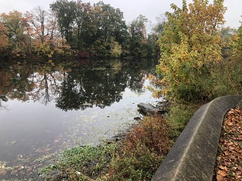 Top story 2a8e96e8280848f16562 0f3acd80 7230 42c6 abd5 8e3a13d50b2c