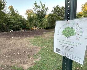 Carousel image 0e4a97ab405ab0d87fb1 10 4 25 micro forest before planting