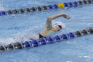 Carousel image 718eb6 ane avanagh