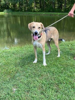 Carousel_image_2042f75553cbc345b28d_113893884_2048787391923956_1577137144877633711_o__1_