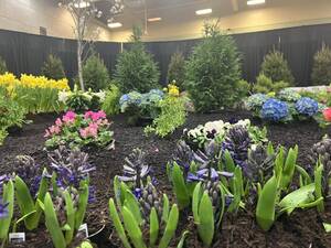 Carousel image 268ea88d009030aa160b 11 26biz flower expo