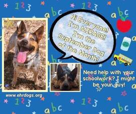 Carousel_image_67f97575c3ee8acc79f6_118721652_2086316961504332_7872667697032805886_n__1_