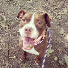 Carousel_image_7e7606f0d5e4cbe8865a_118264186_2075402022595826_1590865150969216221_o