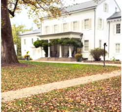 Carousel image a04dc90f82c172f43d8d 11 18 25 leaves at morven sp youtube