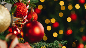 Carousel image 87c1d926a89a3fe5230d 12172025 christmas tree shutterstock 2390872453