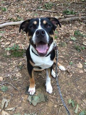 Carousel_image_b795764b3a5b8c2af8e5_125286267_2160124687456892_2118692792625699624_o__1_