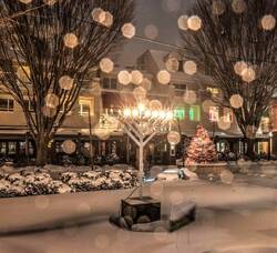Carousel image d4d9bd65a30cfe2ef427 12 18 24 mennorah lighting palmer square x