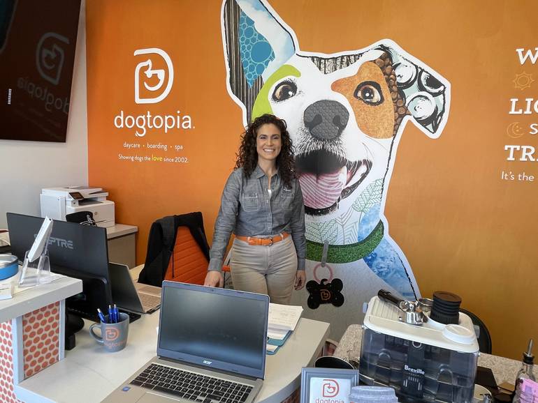 dogtopia website