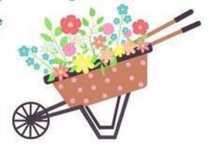 Carousel image aa0fdbe150368874c0f5 14 26comm seed starting image