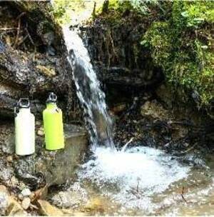 Carousel image 5d99bdd364b8200d433b 15 26comm earth day at taconic state park