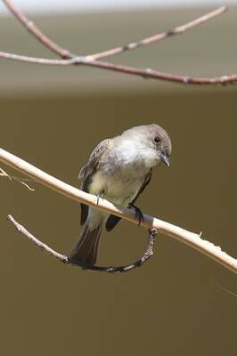 Carousel image de1d7ca48f29036a3e25 15 26col woods