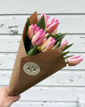 Carousel image 4b00f81900a70bd4de5a 16 26biz farm and flea