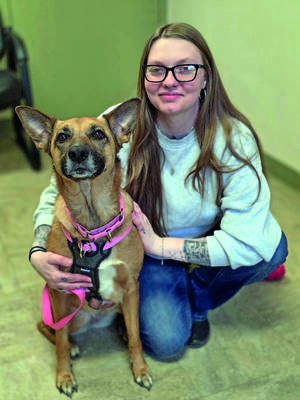 Carousel image 769bfad8f9e93e09e8c0 16 26col soft paws 2