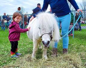Carousel image 09cecf64972d1050a0ac 17 25comm fasny ss graphic mini horse 3 notext