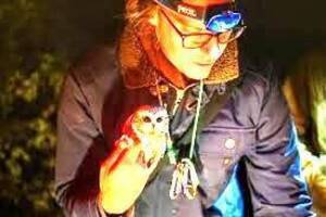 Carousel image fccbcb3dd7447fe9450e 17 25comm ben nickley man with owl