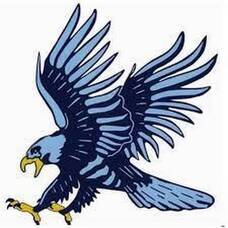 Carousel image 32190fee02d1d17bac4c 19 24news hudson bluehawks