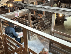 Carousel image a0d2dd91d3c325d31eb8 1