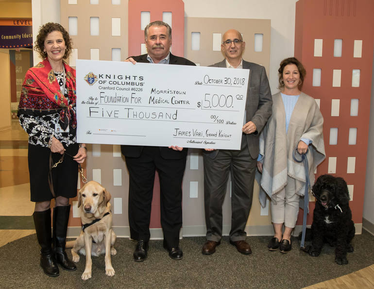 soothing paws pet therapy