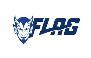 Carousel image 3dff27ee8b25d298c14f 2024 wood ridge flag football logo