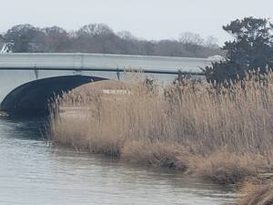 Carousel image 4ba1280ab5fb54a9d825 20260303 072455