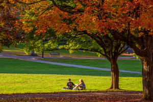 Carousel image 6c49ecdda82449d31a74 20201022 3 fall campus 117 1